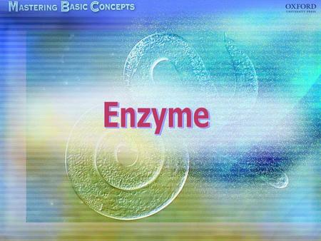 What is an enzyme? Enzyme actions Lock and key hypothesis Effect of temperature on enzyme action Effect of pH on enzyme action Uses of enzymes in daily.