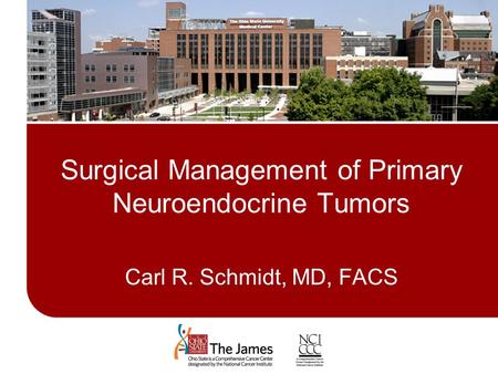Surgical Management of Primary Neuroendocrine Tumors