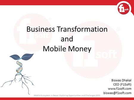 Business Transformation and Mobile Money