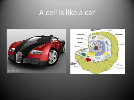 A cell is like a car.