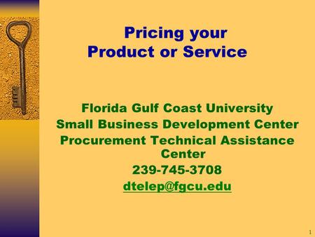 1 Pricing your Product or Service Florida Gulf Coast University Small Business Development Center Procurement Technical Assistance Center 239-745-3708.
