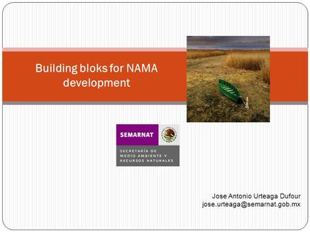 Building bloks for NAMA development Jose Antonio Urteaga Dufour