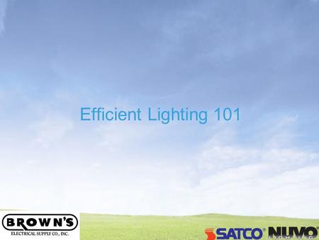 Efficient Lighting 101. Go Green with ENERGY STAR ® Blue What is ENERGY STAR? How CFLs work Mercury How to choose the best CFL for the right application.