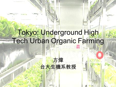 Tokyo: Underground High Tech Urban Organic Farming.