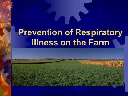 Prevention of Respiratory Illness on the Farm. Respiratory Hazards Dusts Dusts Gases / Vapors Gases / Vapors Chemicals Chemicals.