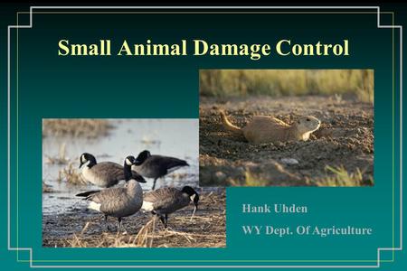 Small Animal Damage Control Hank Uhden WY Dept. Of Agriculture.