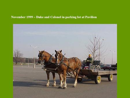 November 1999 – Duke and Colonel in parking lot at Pavilion.