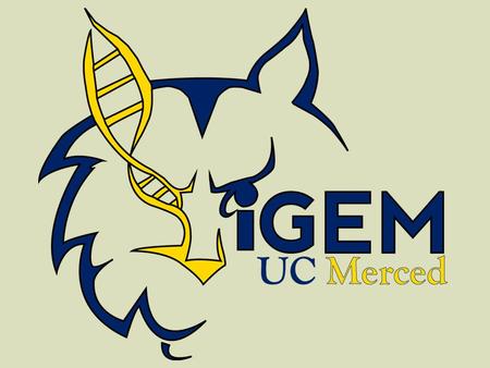 What is iGEM History Budgets Why iGEM Purpose of iGEM Education Advancement of synthetic biology Development of open community Community collaboration.