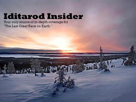 Iditarod Insider Your only source of in-depth coverage for The Last Great Race on Earth.