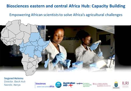 Biosciences eastern and central Africa Hub: Capacity Building Empowering African scientists to solve Africas agricultural challenges Segenet Kelemu Director,