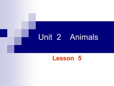 Unit 2 Animals Lesson 5 Whats the difference between two groups of animals?