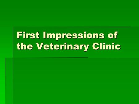 First Impressions of the Veterinary Clinic
