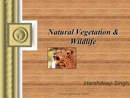 Natural Vegetation & Wildlife