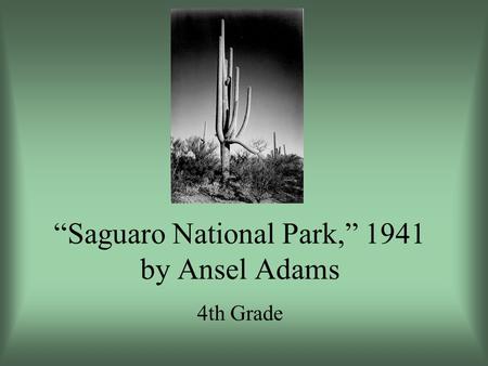 Saguaro National Park, 1941 by Ansel Adams 4th Grade.