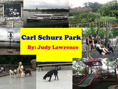 Carl Schurz Park By: Judy Lawrence. Carl Schurz Park was named after a man named Carl Schurz in 1910.