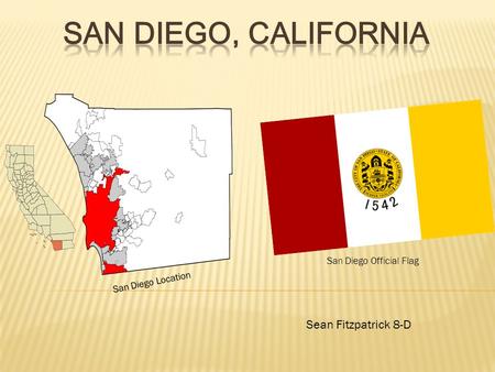 Sean Fitzpatrick 8-D San Diego Location San Diego Official Flag.