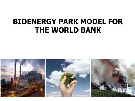 BIOENERGY PARK MODEL FOR THE WORLD BANK. Bioenergy Park for Poverty alleviation and job creation 1.