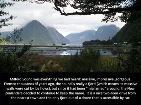 Milford Sound was everything we had heard: massive, impressive, gorgeous. Formed thousands of years ago, the sound is really a fjord (which means its massive.