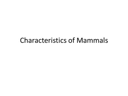 Characteristics of Mammals