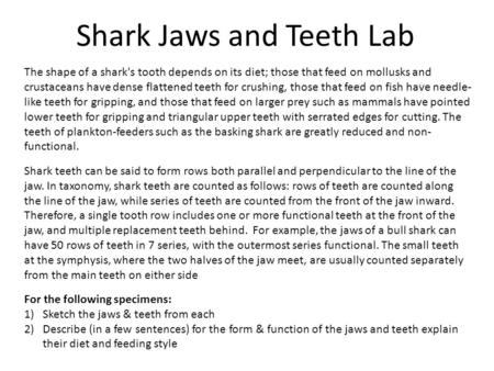Shark Jaws and Teeth Lab