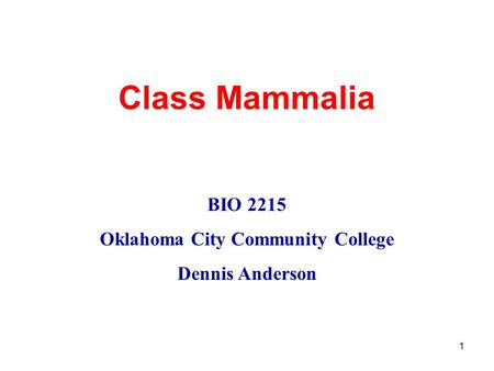 1 Class Mammalia BIO 2215 Oklahoma City Community College Dennis Anderson.
