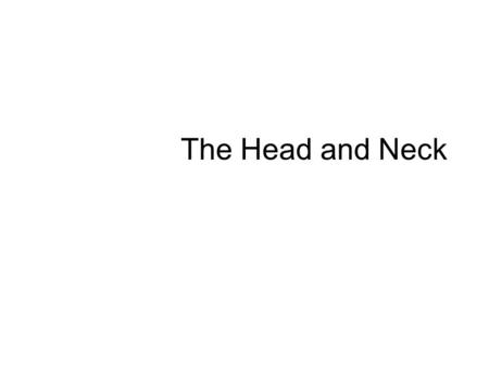 The Head and Neck.