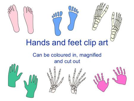 Hands and feet clip art Can be coloured in, magnified and cut out.