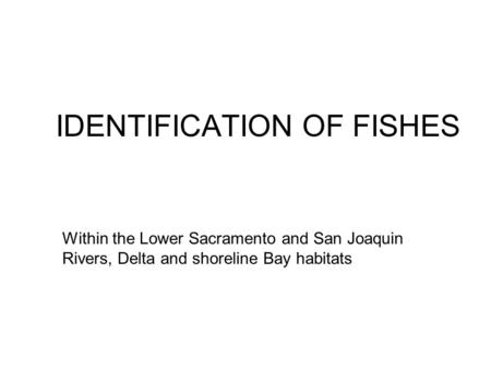 IDENTIFICATION OF FISHES