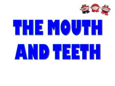 THE MOUTH AND TEETH.