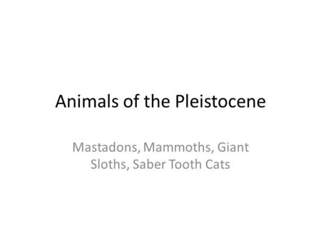 Animals of the Pleistocene Mastadons, Mammoths, Giant Sloths, Saber Tooth Cats.