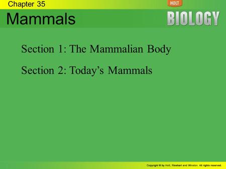 Mammals Section 1: The Mammalian Body Section 2: Today’s Mammals