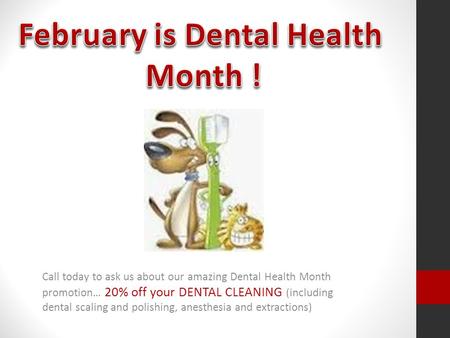Call today to ask us about our amazing Dental Health Month promotion… 20% off your DENTAL CLEANING (including dental scaling and polishing, anesthesia.