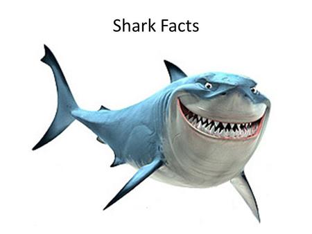 Shark Facts.