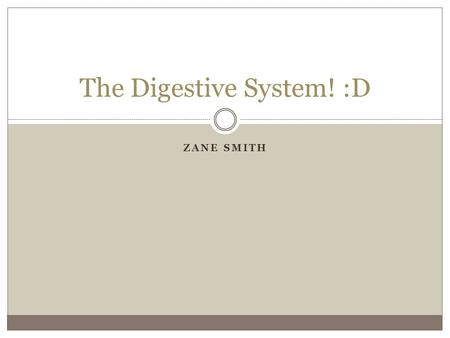 The Digestive System! :D
