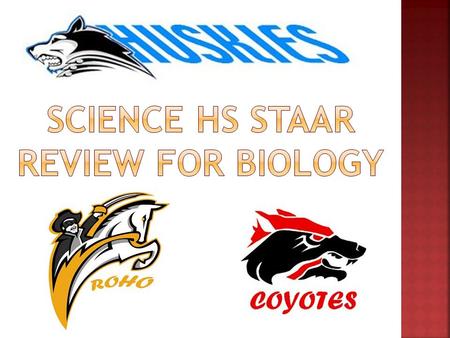 Science HS STAAR Review for biology