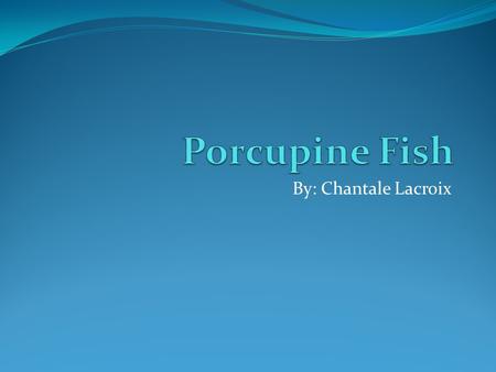 Porcupine Fish By: Chantale Lacroix.