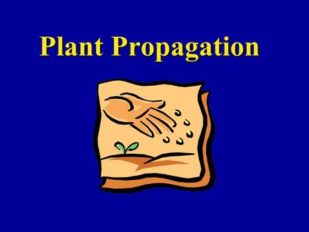 Plant Propagation. Containers Plastic is best!Plastic is best! –Easy to clean and re-use –Durable Can use clayCan use clay –heavy, breakable, & salts.