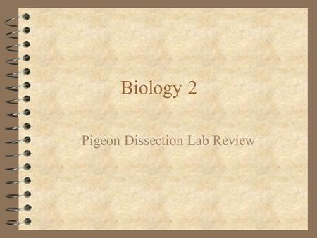Pigeon Dissection Lab Review