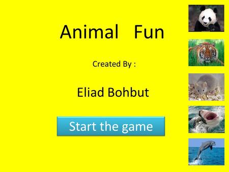 Animal Fun Created By : Eliad Bohbut Start the game.