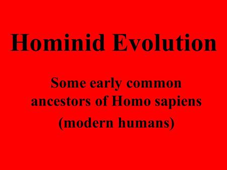 Some early common ancestors of Homo sapiens (modern humans)