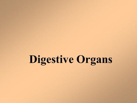 Digestive Organs.