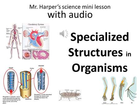 Specialized Structures in Organisms Mr. Harpers science mini lesson with audio.
