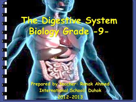 The Digestive System Biology Grade -9-