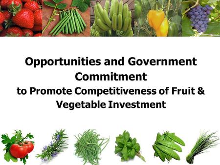 Opportunities and Government Commitment to Promote Competitiveness of Fruit & Vegetable Investment.