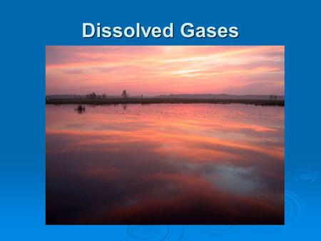 Dissolved Gases. Important Gases 6 important gases are dissolved in lakes, streams, seas 6 important gases are dissolved in lakes, streams, seas Nitrogen.