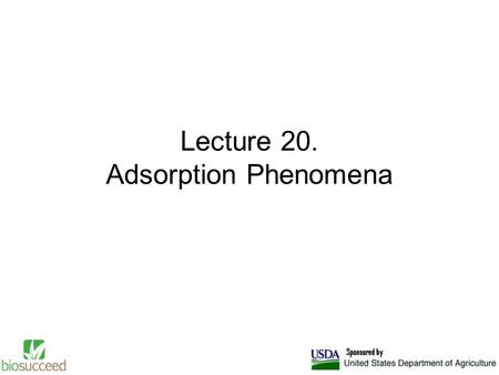 Lecture 20. Adsorption Phenomena