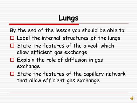 Lungs By the end of the lesson you should be able to: Label the internal structures of the lungs State the features of the alveoli which allow efficient.