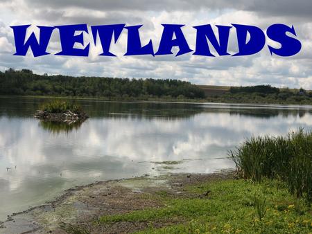 WETLANDS. WHAT ARE WETLANDS? 1. Area thats wet (saturated with water) 2. Poorly drained soils.