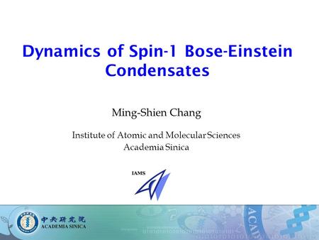 Dynamics of Spin-1 Bose-Einstein Condensates