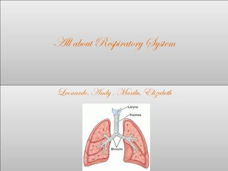 All about Respiratory System Leonardo, Andy, Marilu, Elizabeth.